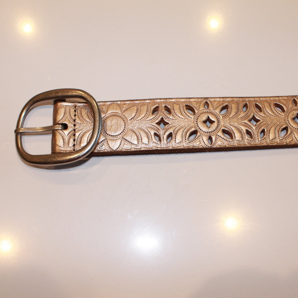 Fossil small belt